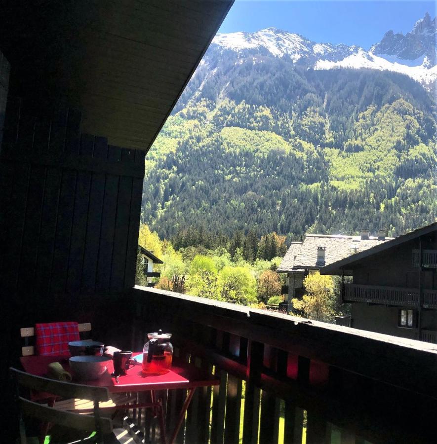 Chamonix Superbe Appartement Vue Mont Blanc Zewnętrze zdjęcie